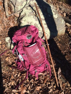 The Spirit Hawk, my pack