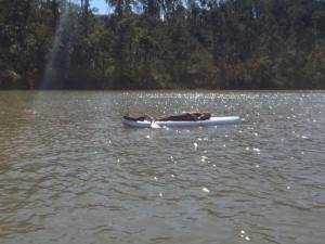 Photo by Laura C. Mirando, SUP yoga class above the dam near Morgan Falls, October 18, 2014.