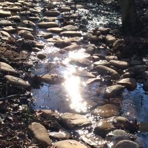 Kennesaw, Spring 2015